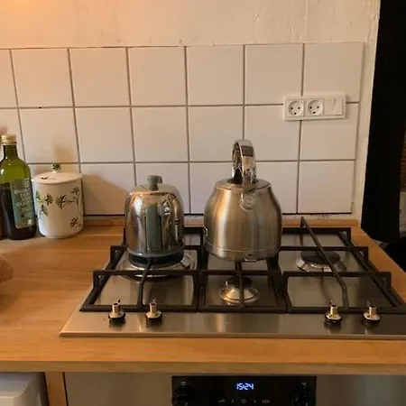 Central Bohemian Authentic Apartamento