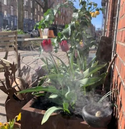 Bohemian Authentic Apartment *