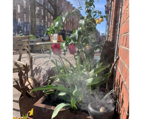 Bohemian Authentic Apartment Copenhagen